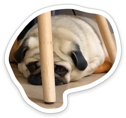Эмодзи sad_pug_leonid