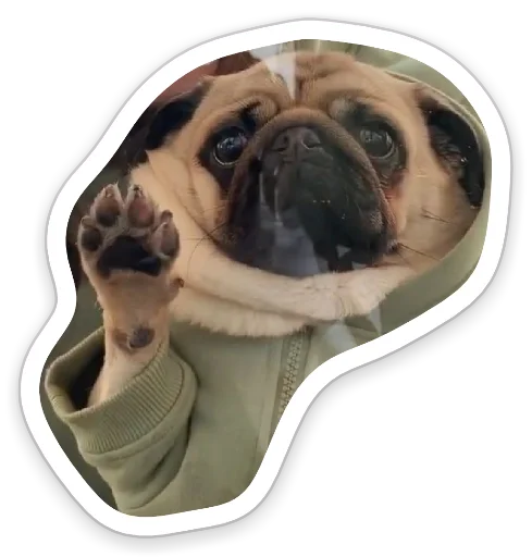 Эмодзи sad_pug_leonid