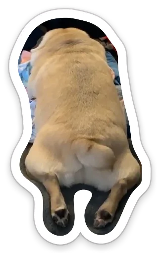 Эмодзи sad_pug_leonid