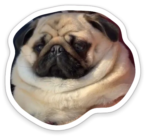 Эмодзи sad_pug_leonid