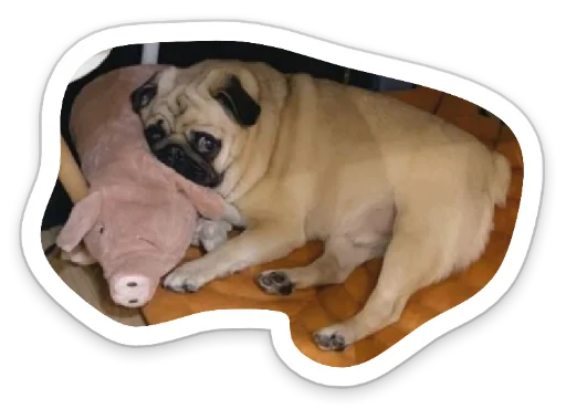 Эмодзи sad_pug_leonid