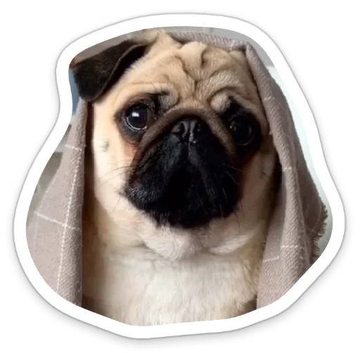 Эмодзи sad_pug_leonid