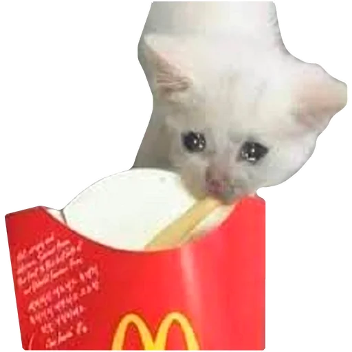 Эмодзи Грустные коты