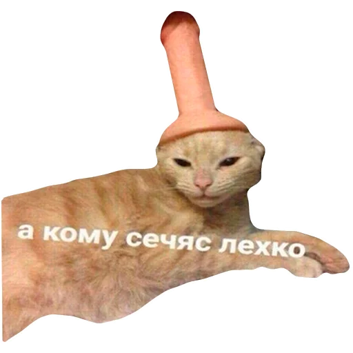 Эмодзи Грустные коты
