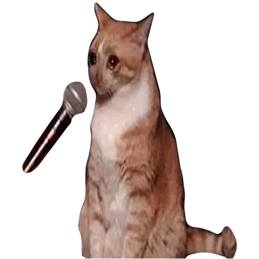 Эмодзи Грустные коты