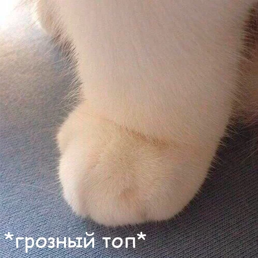 Эмодзи Murder 🔪