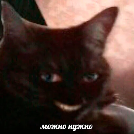 Эмодзи Murder 🔪