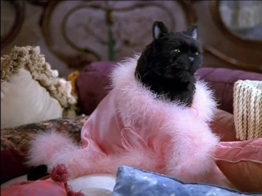 Эмодзи SALEM MEOW