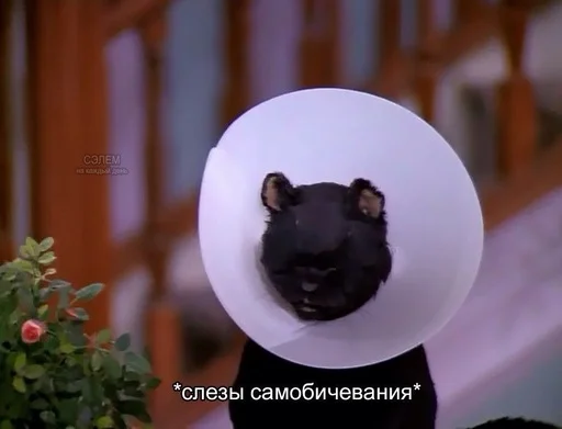 Эмодзи SALEM MEOW