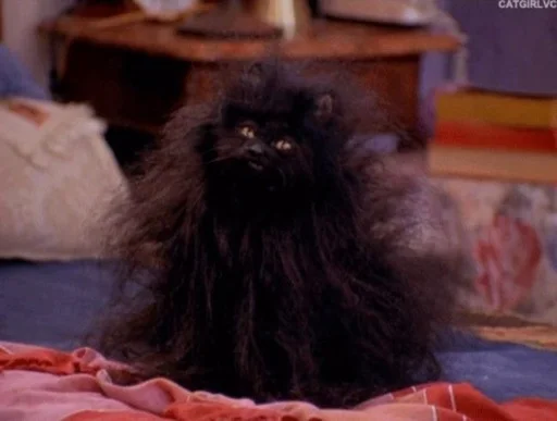 Эмодзи SALEM MEOW