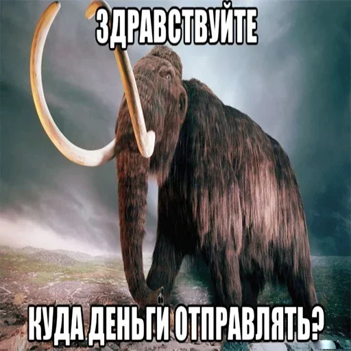 ?
