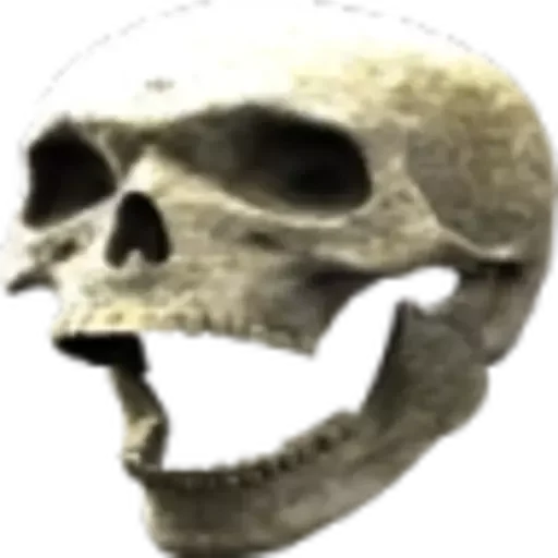 💀