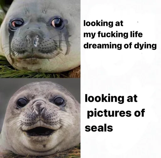 Эмодзи seals4life