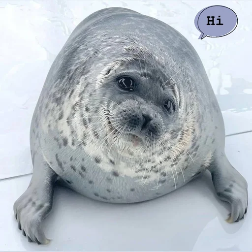 Эмодзи seals4life