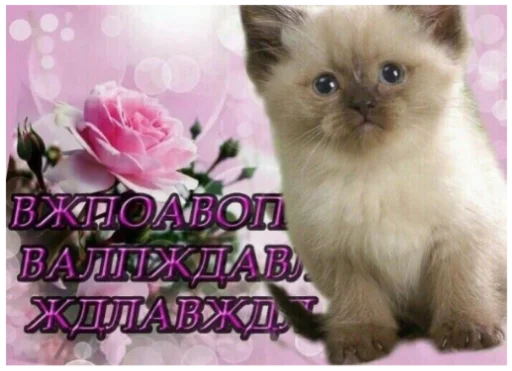 Эмодзи ъоьмы!!
