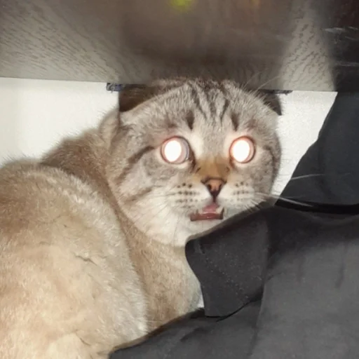 Эмодзи Сэмик кот