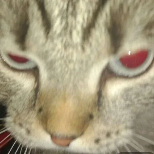 Эмодзи Сэмик кот