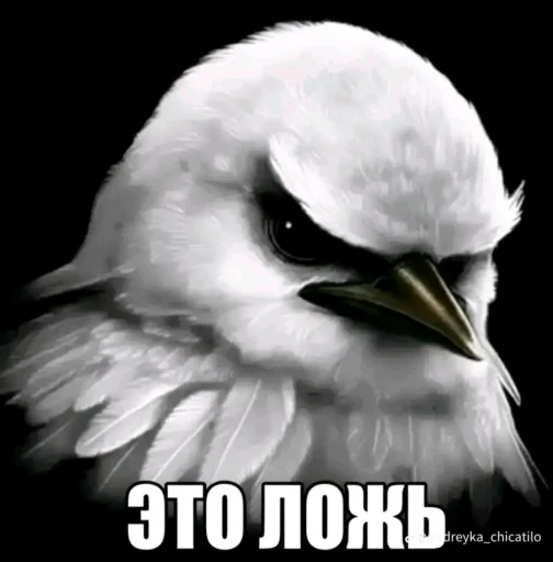 Эмодзи Birds Memes