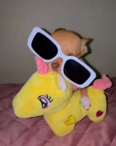 Эмодзи Dogs TT Memes