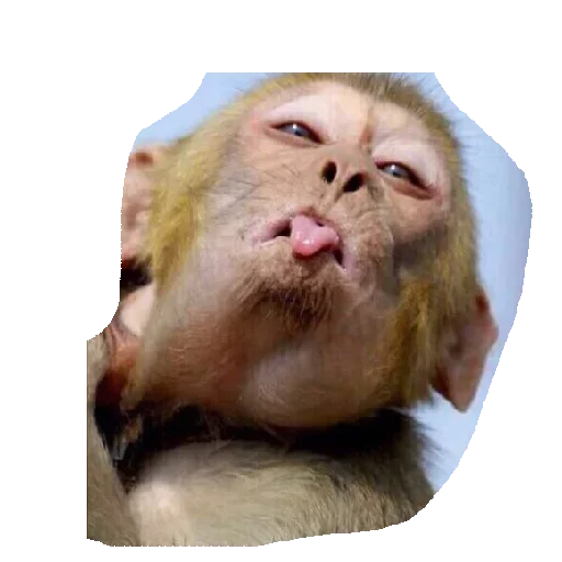 Эмодзи ГАЛОЧКА ты счас упадёшь