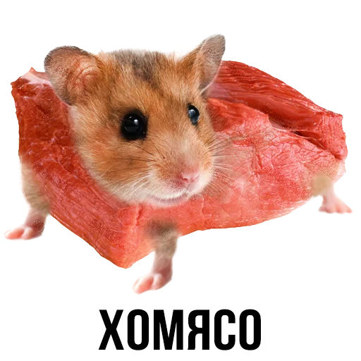Эмодзи Шлакоблокунь и друзья