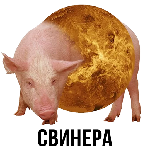 Эмодзи Шлакоблокунь и друзья