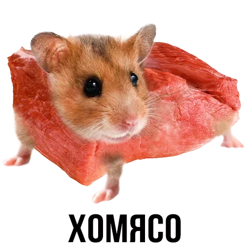 Эмодзи Шлакоблокунь и друзья