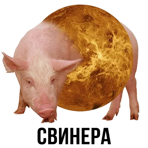 Эмодзи Шлакоблокунь и друзья