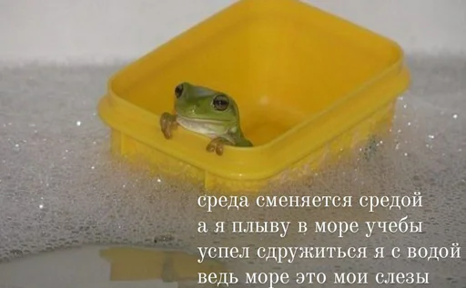 Эмодзи шевацитатникпак