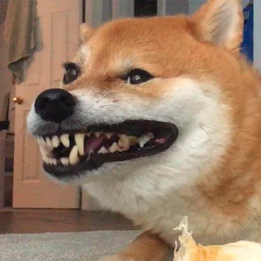 Эмодзи Shibes