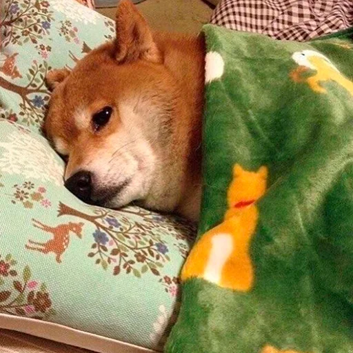 Эмодзи Shibes