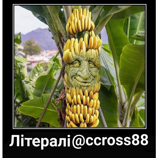 Эмодзи Шизослав Дрєвоштаб