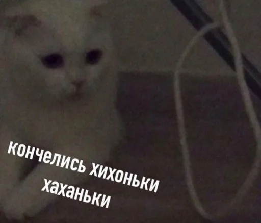 Эмодзи shiziky