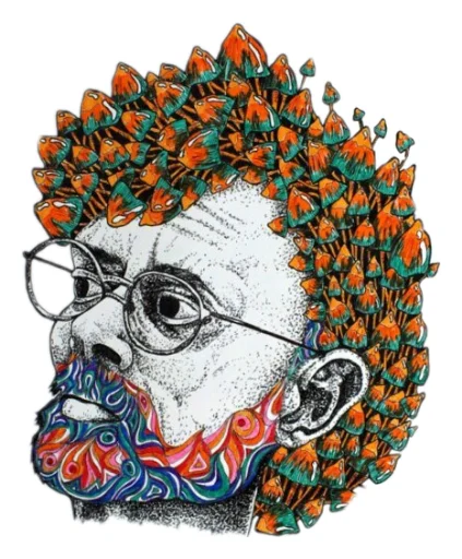 Эмодзи Shizoterika