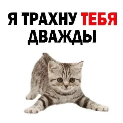 ?
