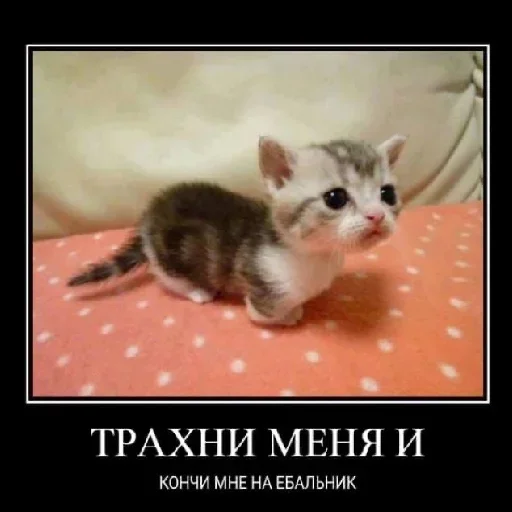 Эмодзи shlrona