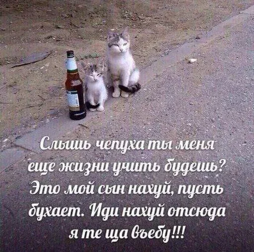 Эмодзи shlrona
