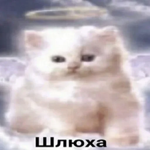 Эмодзи shlrona
