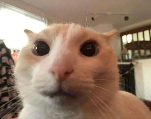 Эмодзи silly kitty