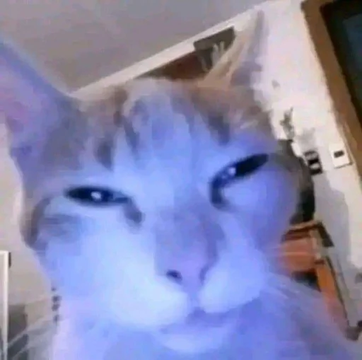 Эмодзи silly kitty