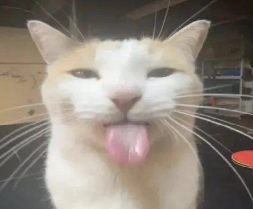 Эмодзи silly kitty