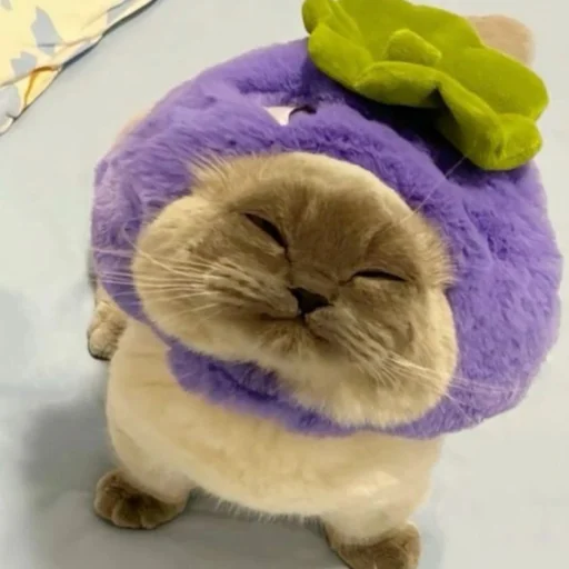 Эмодзи манюни