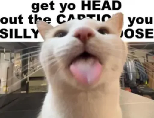 ?