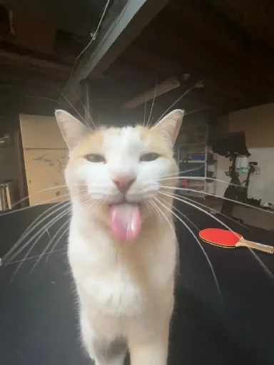 Эмодзи Silly Milly