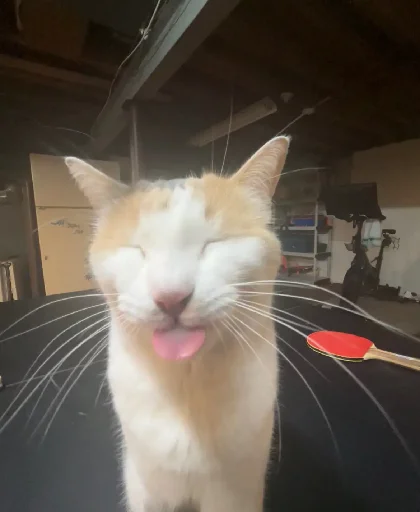 Эмодзи Silly Milly