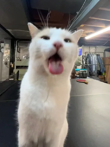 Эмодзи Silly Milly