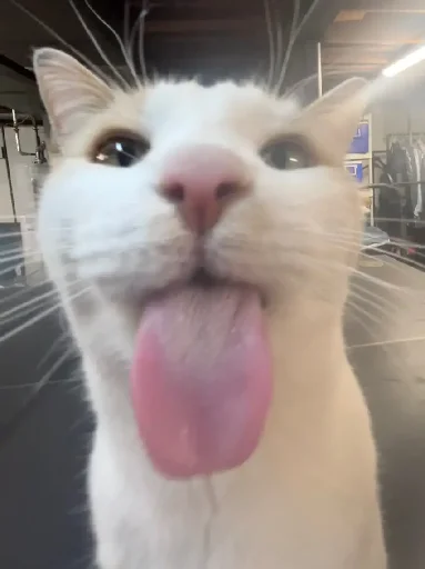 Эмодзи Silly Milly