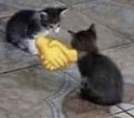 Эмодзи глупые коты