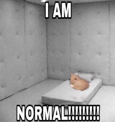 Эмодзи глупые коты