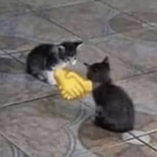 Эмодзи тупые мемы